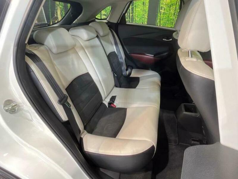 CX-3-10