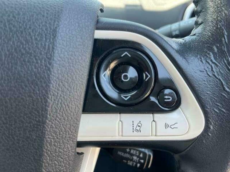 PRIUS-18