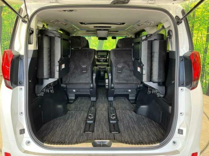 ALPHARD-10