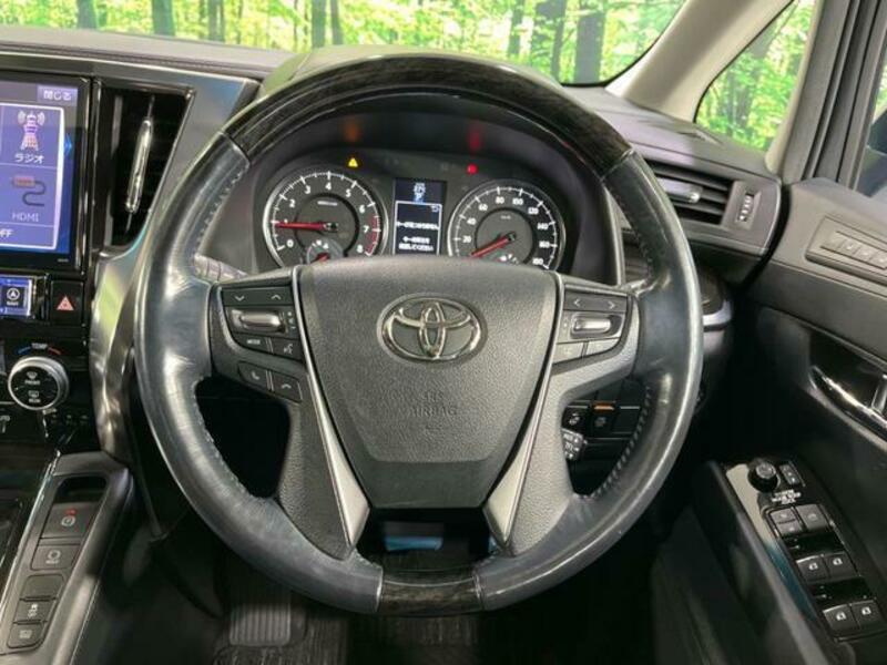 ALPHARD-11