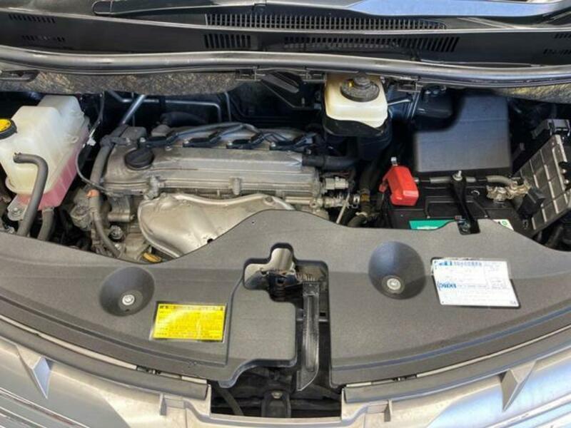 ALPHARD-18