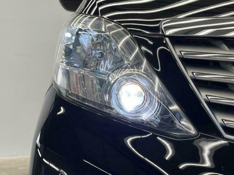 ALPHARD-12