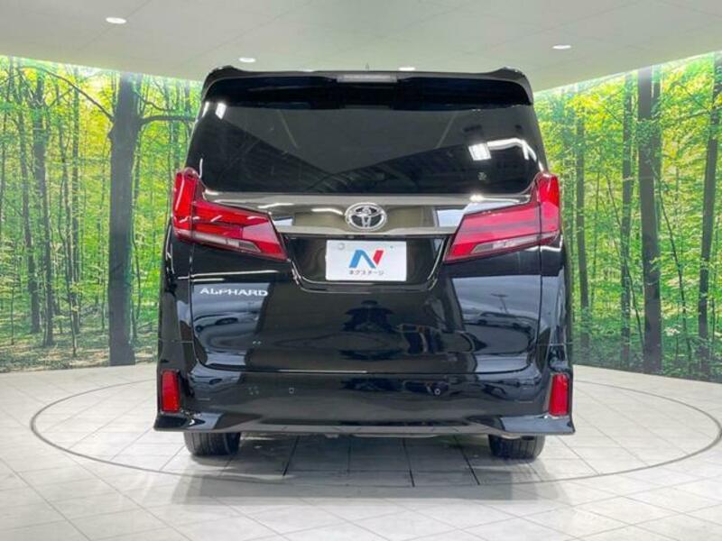 ALPHARD-15