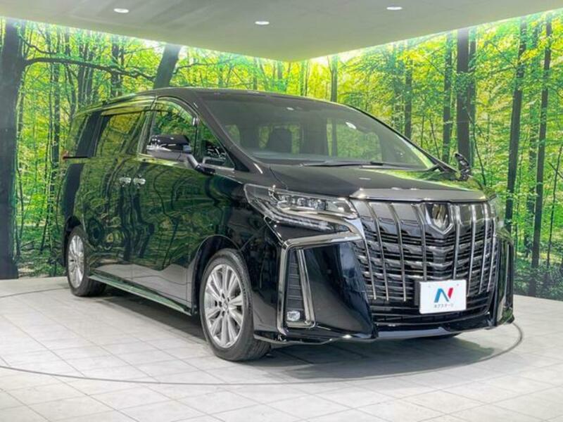 ALPHARD-16