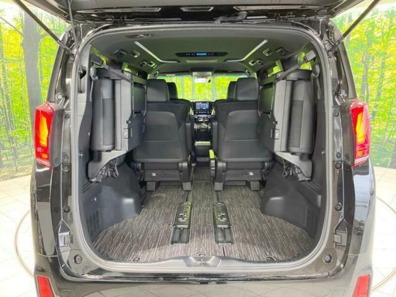 ALPHARD-10