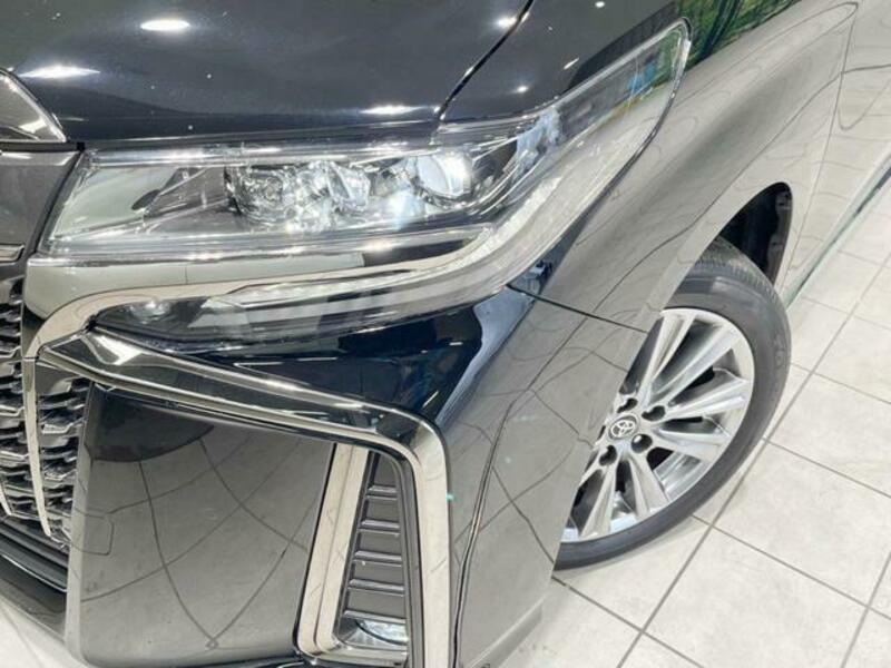 ALPHARD-12