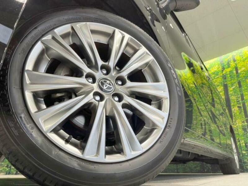 ALPHARD-13