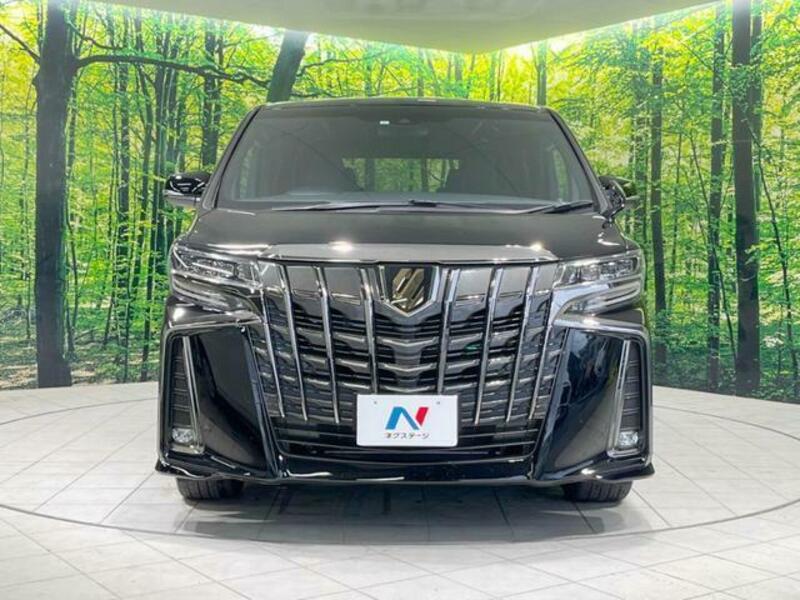 ALPHARD-14