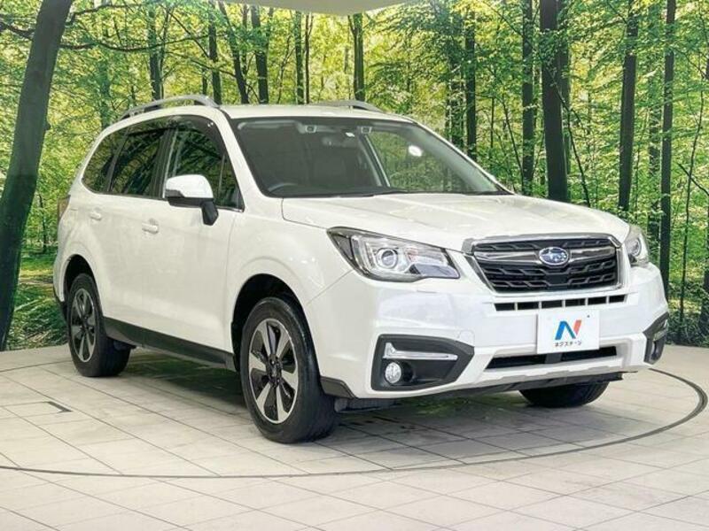 FORESTER-15