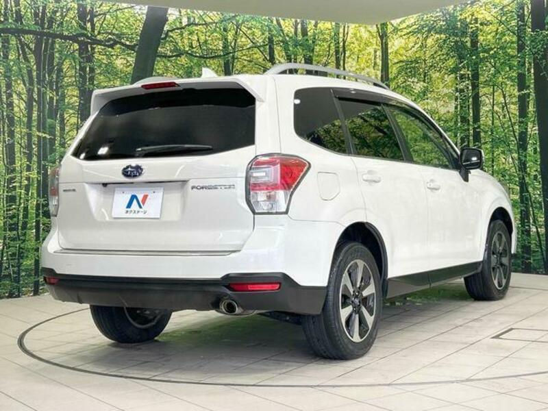 FORESTER-16