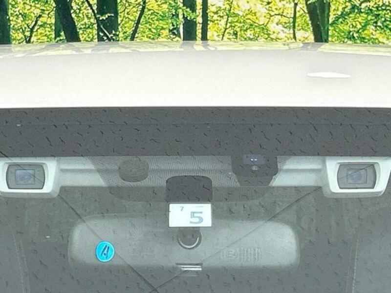 FORESTER-2