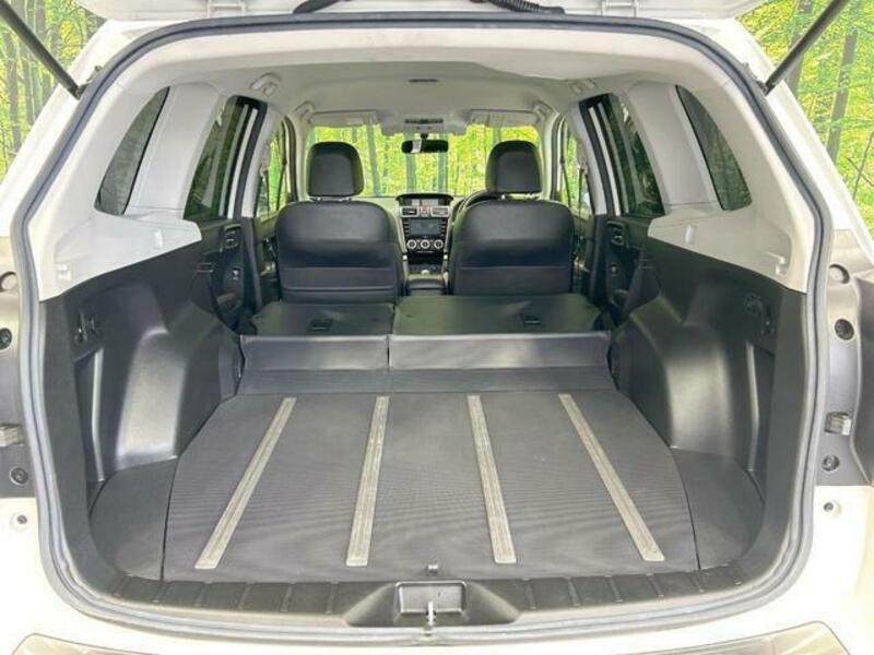 FORESTER-9