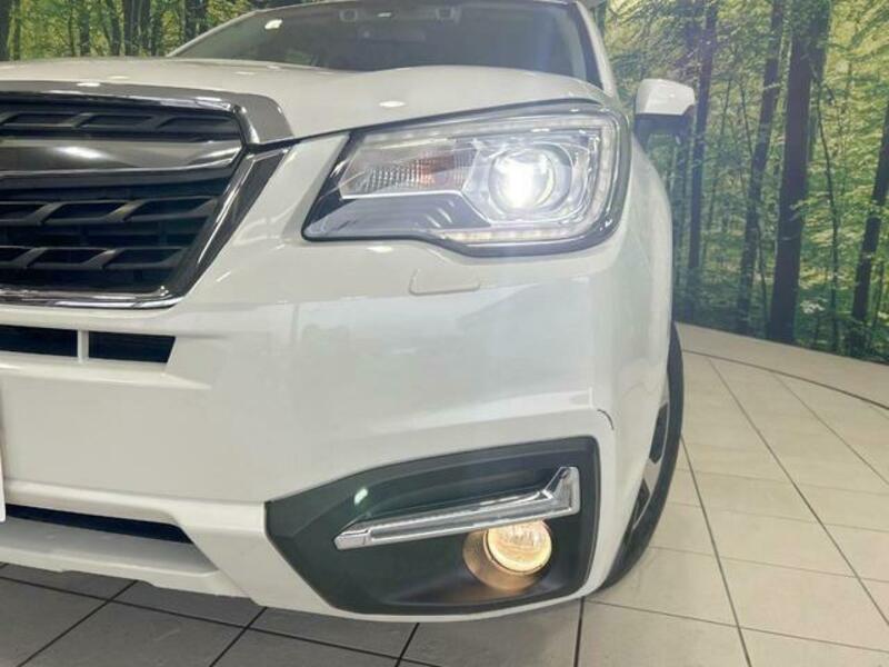 FORESTER-11