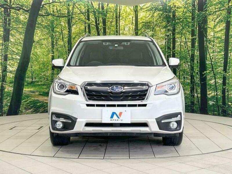 FORESTER-13