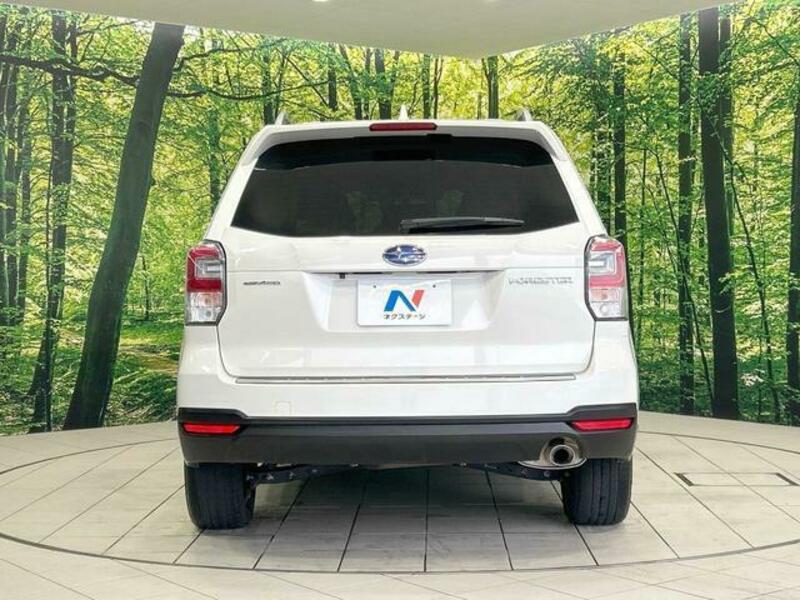 FORESTER-14