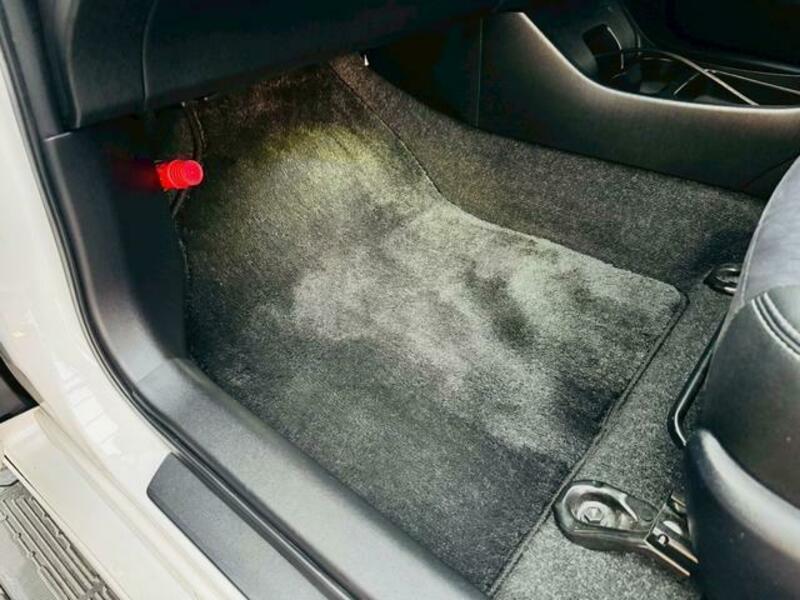 PRIUS-14