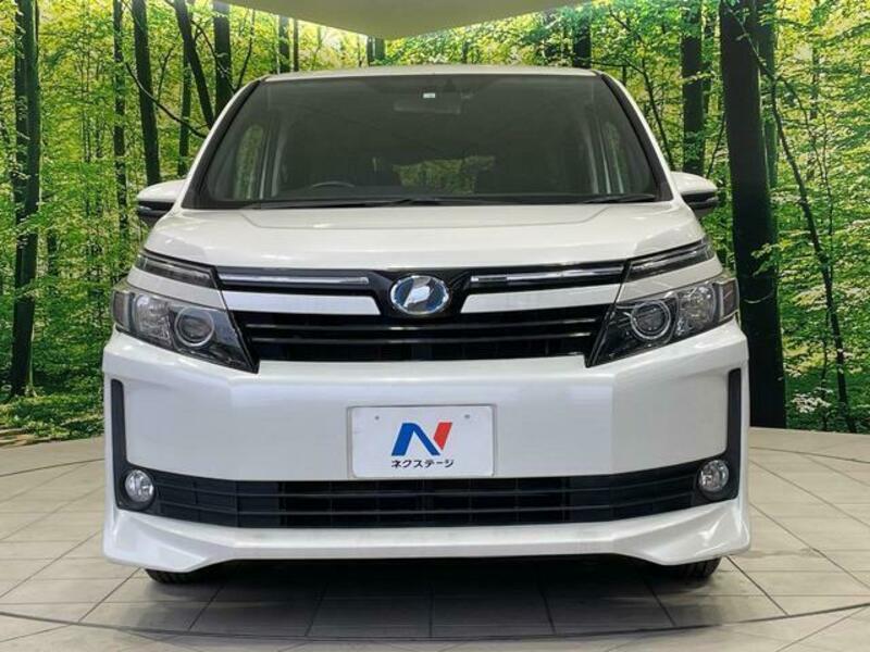 VOXY-13