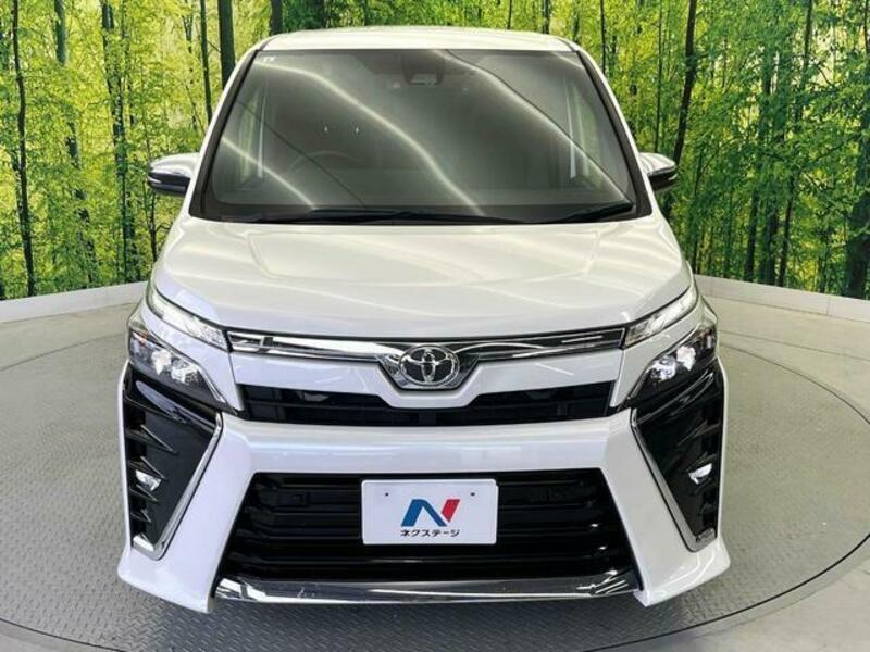 VOXY-15