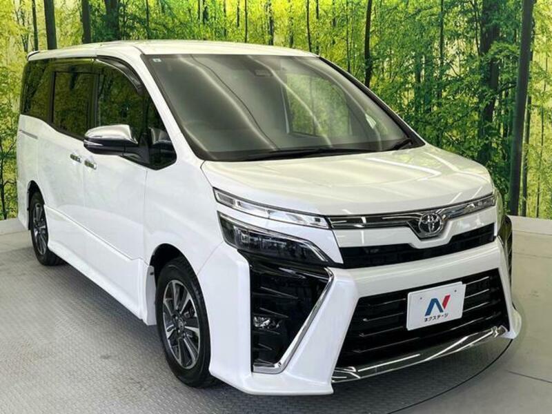 VOXY-17