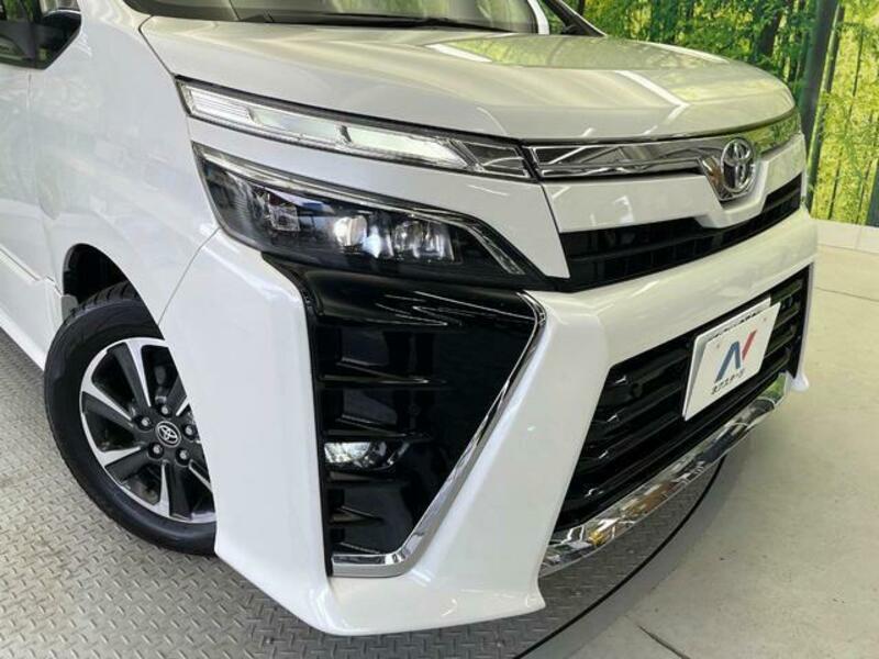 VOXY-13