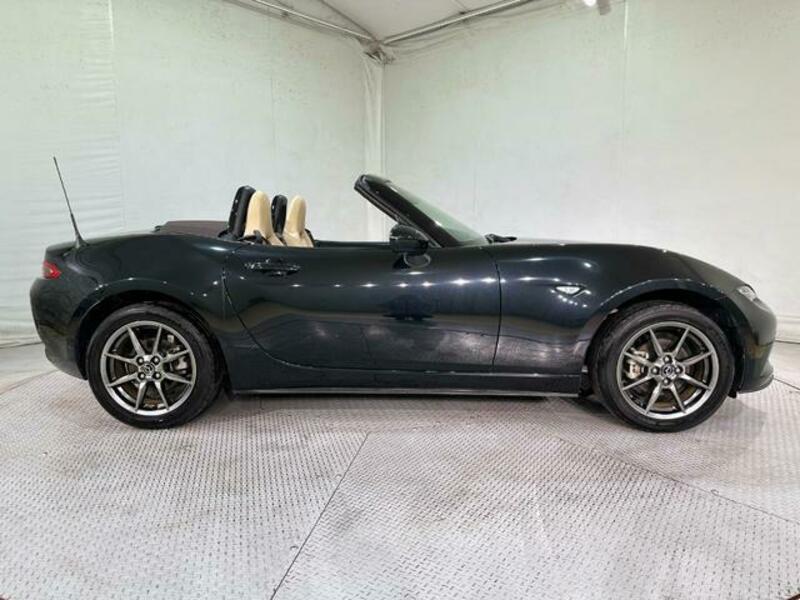 ROADSTER-15