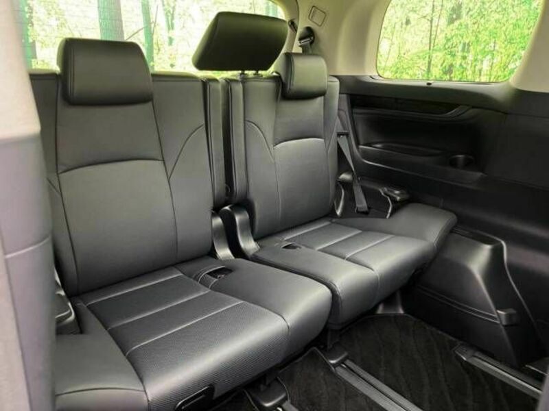 ALPHARD-10
