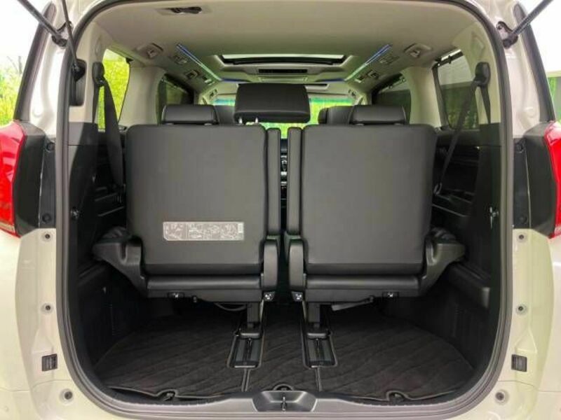 ALPHARD-11