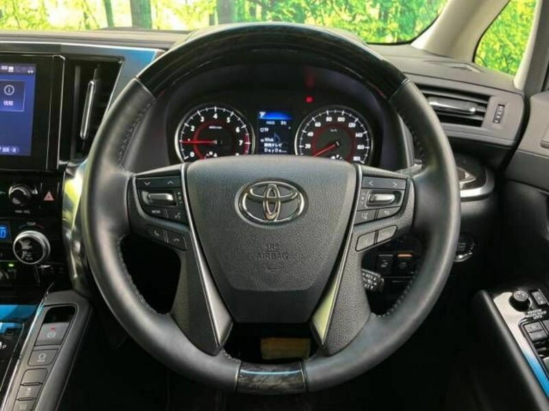 ALPHARD-12