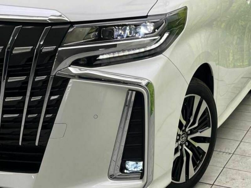 ALPHARD-13