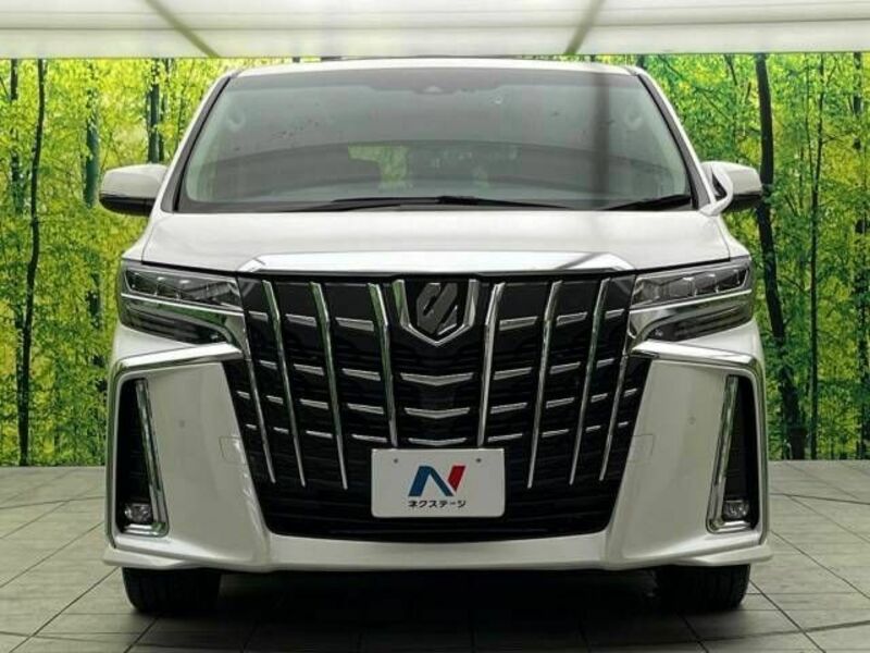 ALPHARD-15