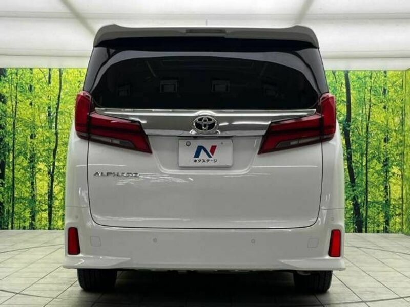 ALPHARD-16