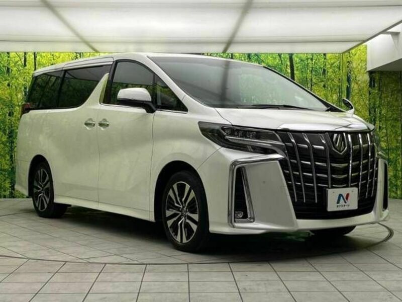 ALPHARD-17