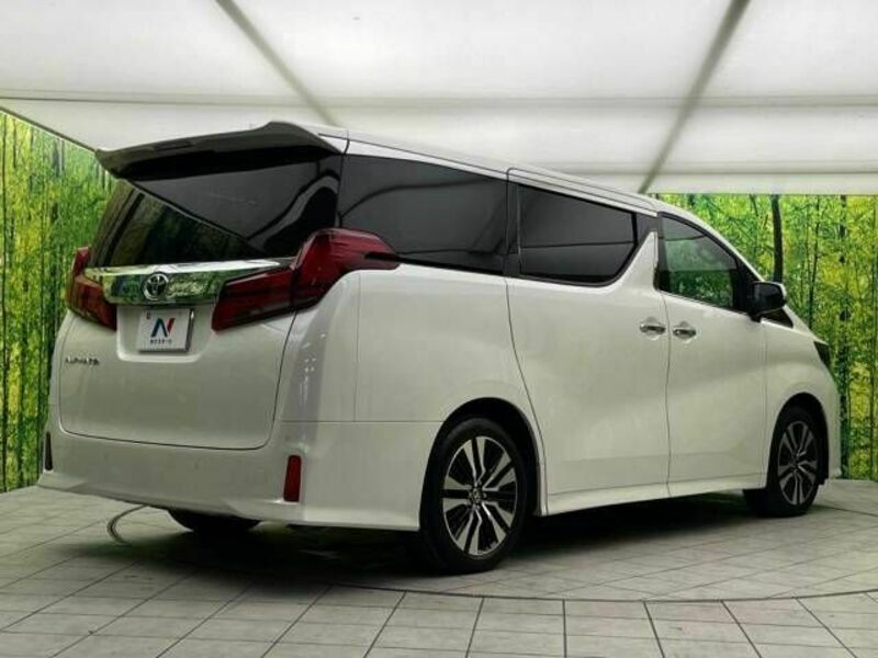 ALPHARD-18