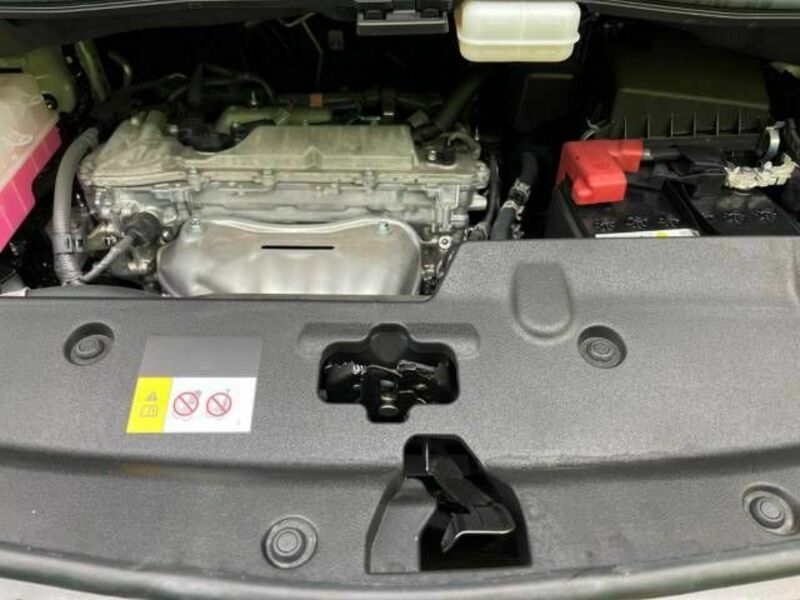 ALPHARD-19