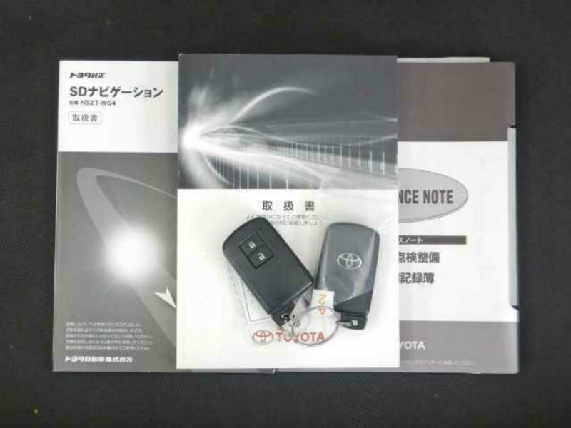 AURIS-19