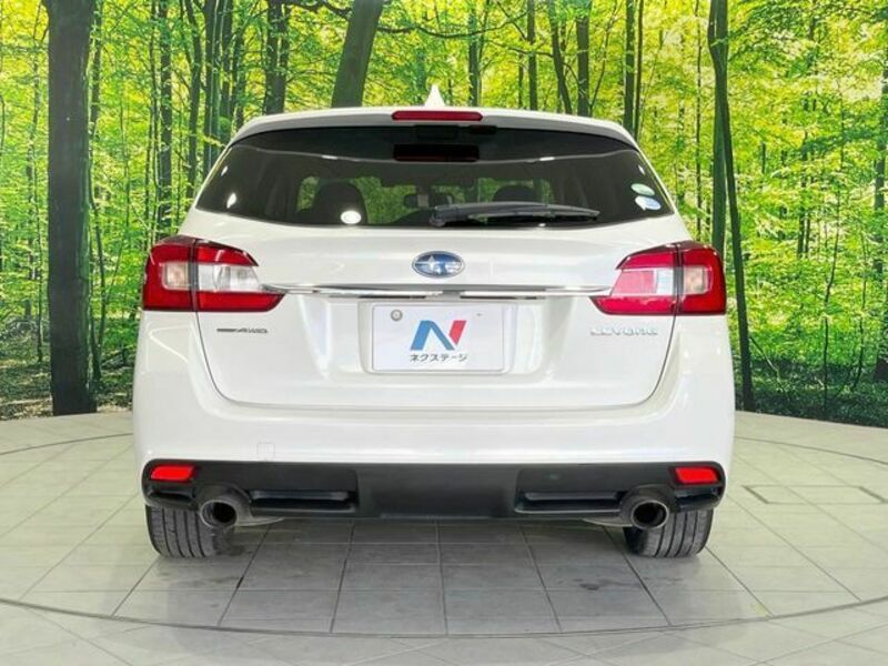 LEVORG