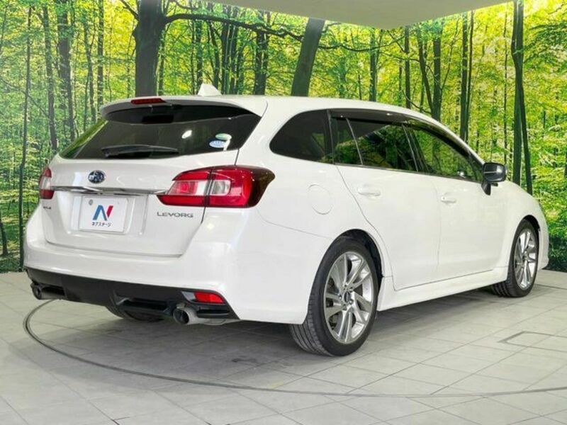 LEVORG
