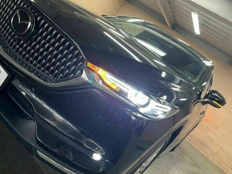 CX-8-10