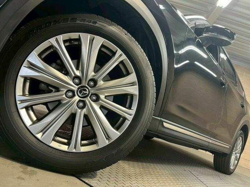 CX-8-11