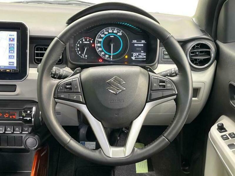 IGNIS-10