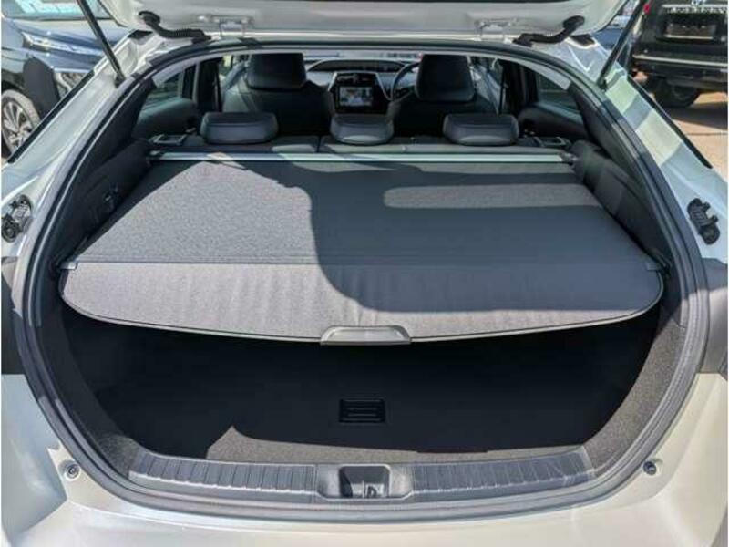 PRIUS-16