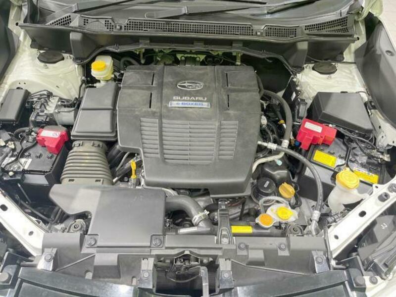 FORESTER-17