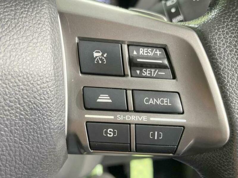 FORESTER-4