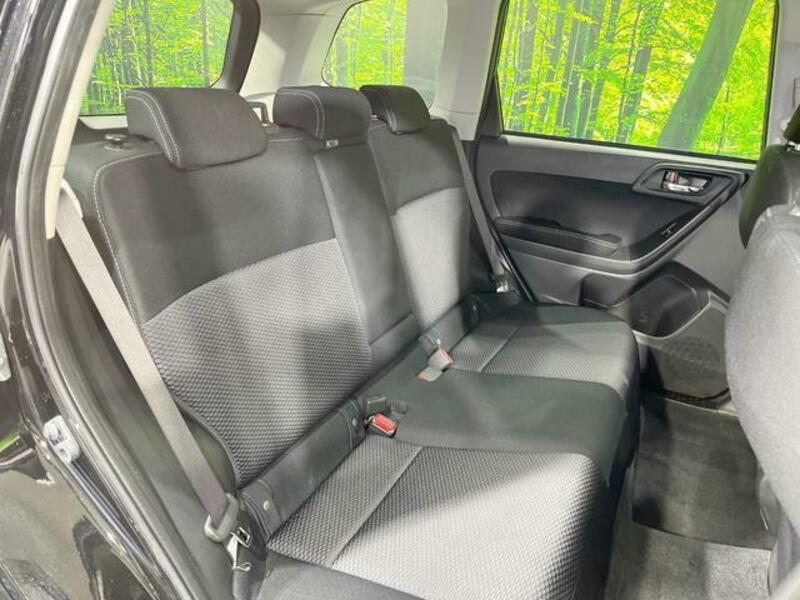 FORESTER-8