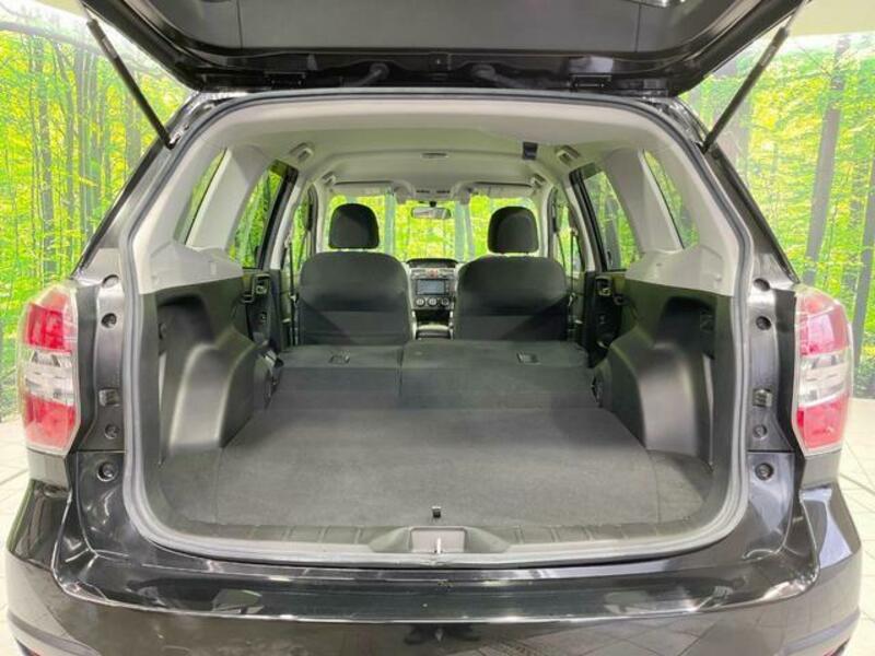 FORESTER-9