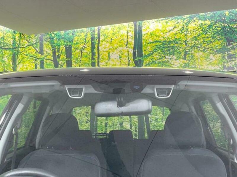 FORESTER-3