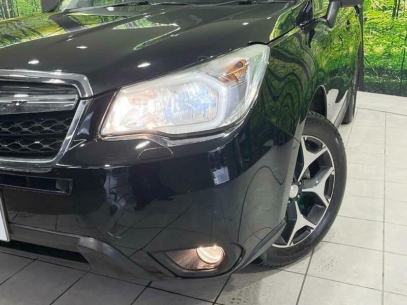 FORESTER-11
