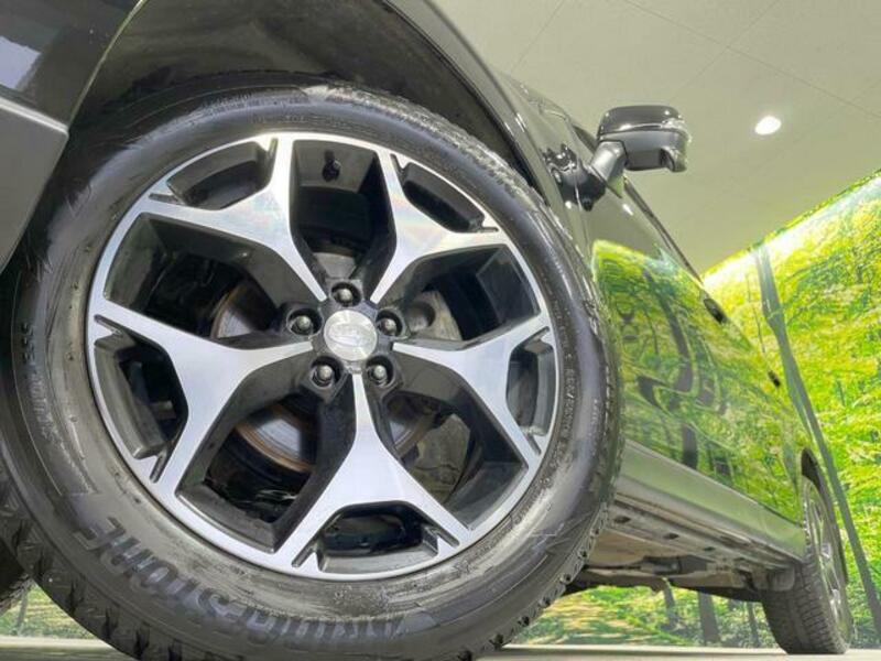 FORESTER-12