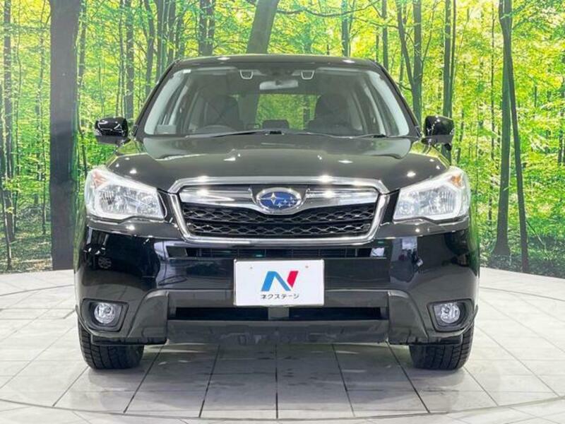 FORESTER-13