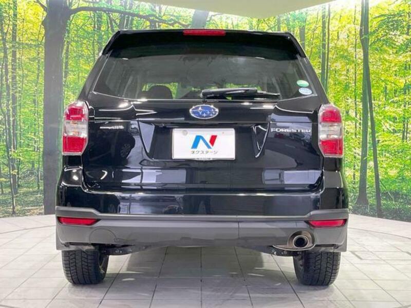 FORESTER-14